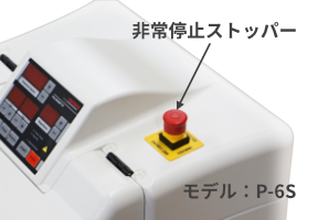 p6ss